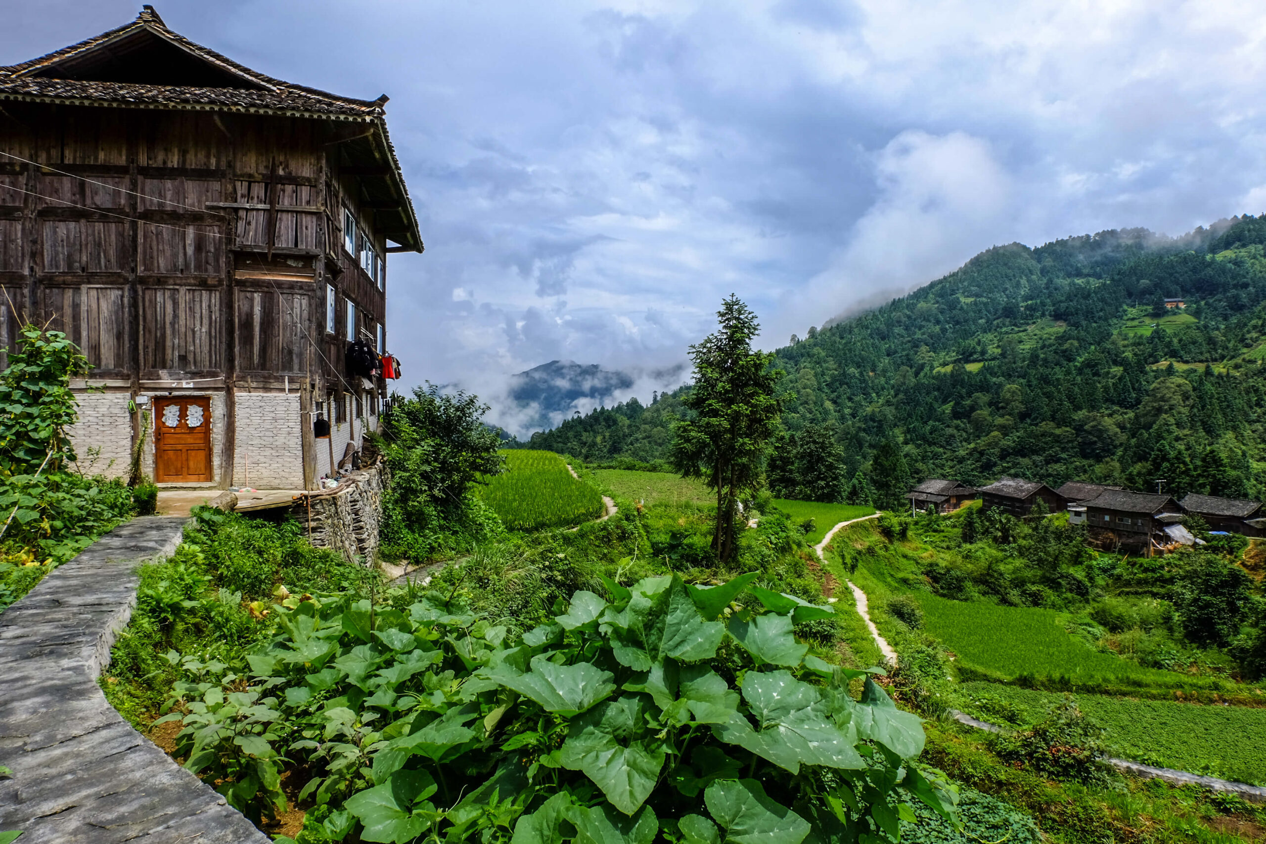 Exploring Guizhou ethnic minorities: Queniao Miao Village
